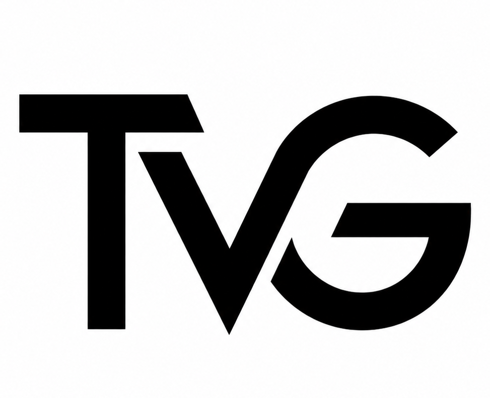 The VIDA Group